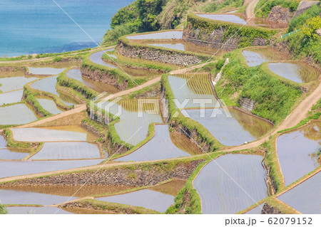 浜野浦の棚田　佐賀県玄海町 62079152