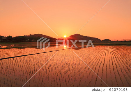 田んぼの夕景 62079193
