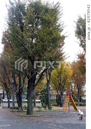 公園　滑り台 62079542