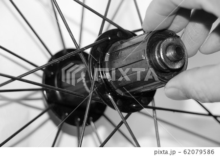 フリーハブ 62079586