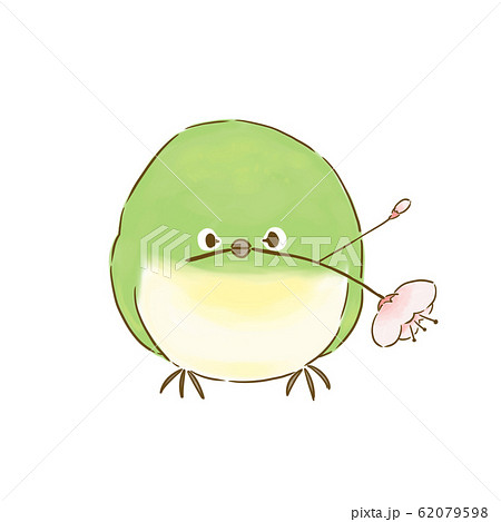 まんまるメジロと桜 62079598