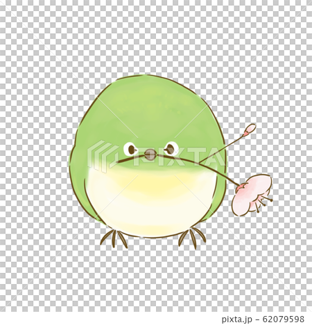 まんまるメジロと桜 62079598