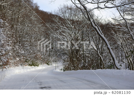 雪道 62081130
