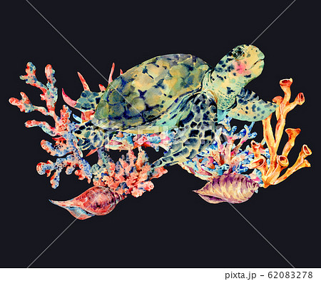 Watercolor vintage sea life natural greeting card 62083278