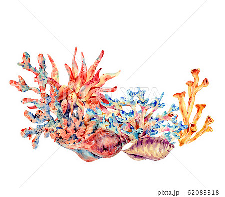 Watercolor vintage sea life natural greeting card, Watercolor vintage sea life natural greeting card, 62083318