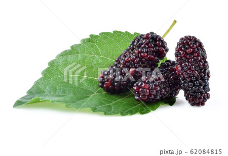 Mulberry with leaf Isolated on white background 62084815