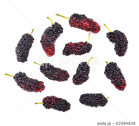 Mulberry isolated on white background Mulberry isolated on white background 62084836