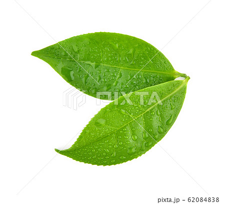 Top view of isolated on white background Top view of isolated on white background 62084838