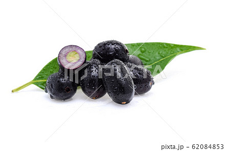 Jambolan plum, Java plum with drops of water on Jambolan plum, Java plum with drops of water on 62084853