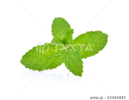 Mint leaves isolated on white background. 62084885