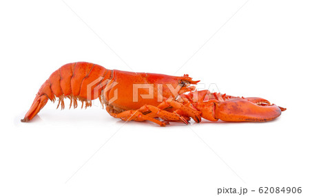 Cooked European common lobster isolated on a white 62084906