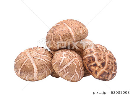 Shiitake Mushrooms on white background 62085008