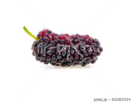 Mulberry Isolated on white background 62085034