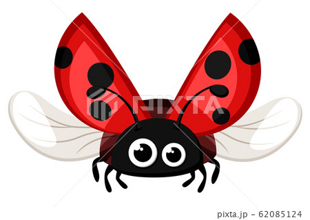 Ladybug Flying On A White Background Insectのイラスト素材