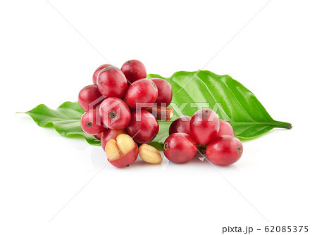 Red coffee beans isolated on white background Red coffee beans isolated on white background 62085375