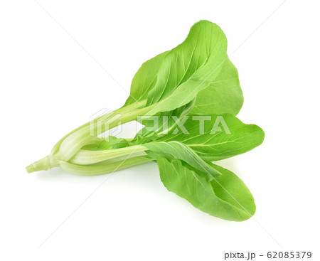 Bok choy vegetable isolated on white background 62085379
