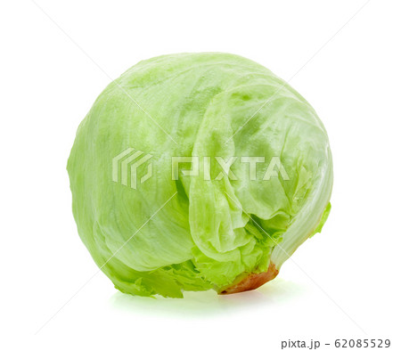 Green Iceberg lettuce on white background Green Iceberg lettuce on white background 62085529