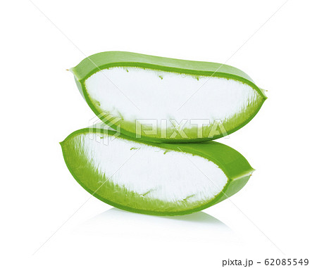 Aloe vera fresh leaf isolated on white background Aloe vera fresh leaf isolated on white background 62085549