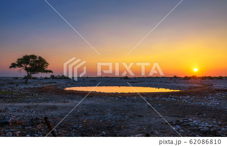 Sunset over the waterhole of Okaukuejo Camp in Etosha, Namibia 62086810