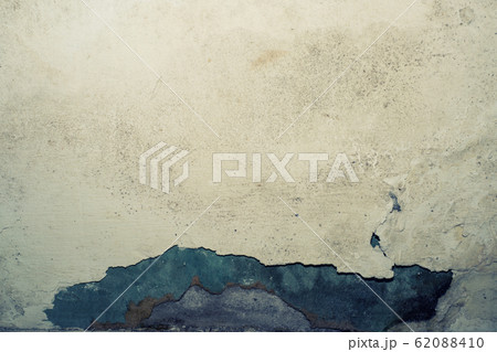 Closeup of a mold wall with fungus Closeup of a mold wall with fungus 62088410