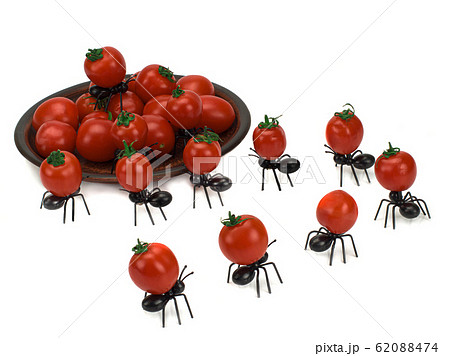Funny decorative ants carrying tomatoes in a plate Funny decorative ants carrying tomatoes in a plate 62088474
