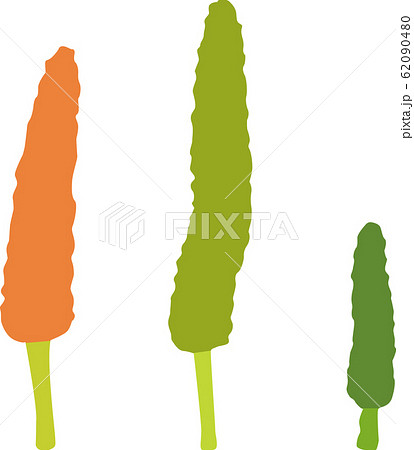 ピパーチ ピパーチ 62090480