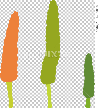 ピパーチ ピパーチ 62090480