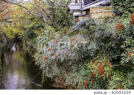 京都　紅葉が美しい・哲学の道 62091039
