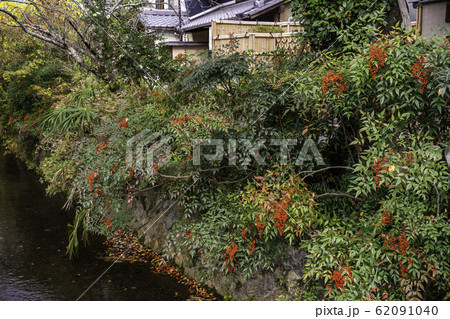 京都 紅葉が美しい・哲学の道 京都 紅葉が美しい・哲学の道 62091040