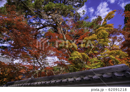 (京都)紅葉が美しい・永観堂 (京都)紅葉が美しい・永観堂 62091218