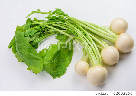 こかぶ 蕪 こかぶ 蕪 62092250