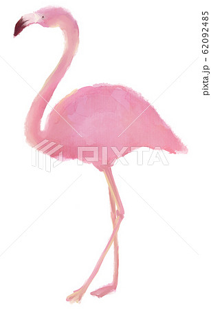 フラミンゴ 鳥 ピンクのイラスト素材