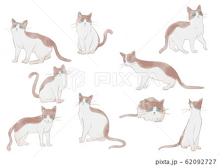 水彩風猫イラストセット 水彩風猫イラストセット 62092727