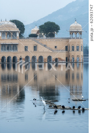jal mahal birds jal mahal birds 62093747