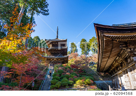 滋賀県　湖南三山の一つ　紅葉の美しい常楽寺の本堂と三重塔 62094568