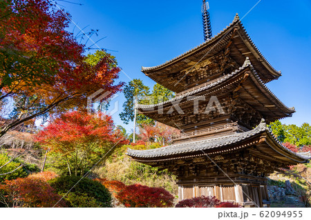 滋賀県　湖南三山の一つ　紅葉の美しい常楽寺の三重塔 62094955