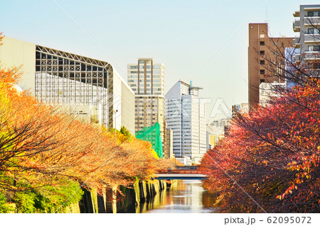 紅葉の目黒川 なかめ公園橋から望む 紅葉の目黒川 なかめ公園橋から望む 62095072