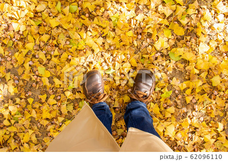 地面と覆う紅葉した黄色いイチョウの葉と立つ人 地面と覆う紅葉した黄色いイチョウの葉と立つ人 62096110
