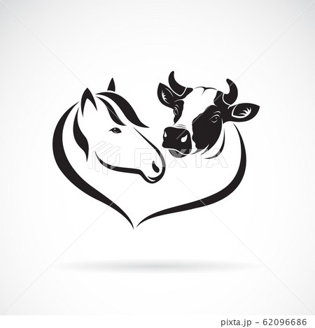 Vector of horse head and cow head design. Vector of horse head and cow head design. 62096686