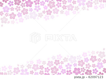 芝桜 春風イメージ 花柄背景 紫 比率のイラスト素材