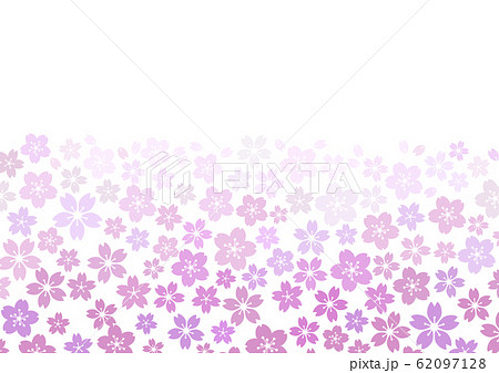 芝桜 花畑イメージ 花柄背景 紫 A4比率のイラスト素材 62097128