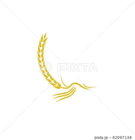 Agriculture wheat Logo Template vector icon design 62097138