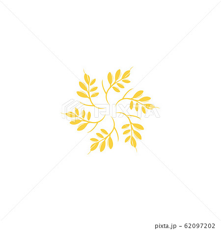 Agriculture wheat Logo Template vector icon design 62097202