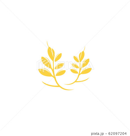 Agriculture wheat Logo Template vector icon design 62097204