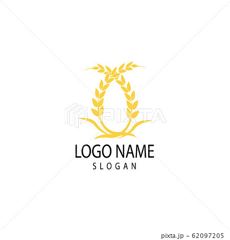 Agriculture wheat Logo Template vector icon design 62097205