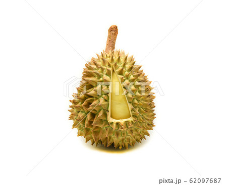 Durian isolated / Tropical fruit of fresh durian 62097687