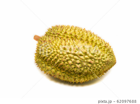 Durian isolated / Tropical fruit of fresh durian 62097688