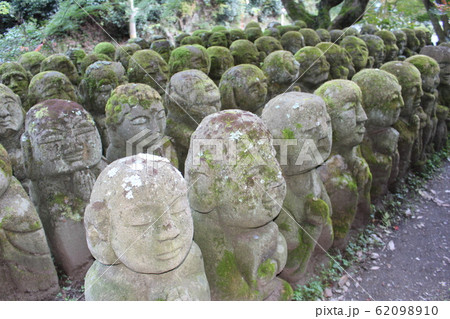 愛宕念仏寺 愛宕念仏寺 62098910