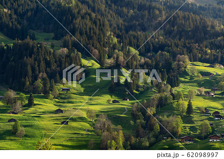 Summer forests landscape in countryside, Grindelwald, Switzerland Summer forests landscape in countryside, Grindelwald, Switzerland 62098997