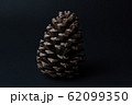 松ぼっくり 62099350